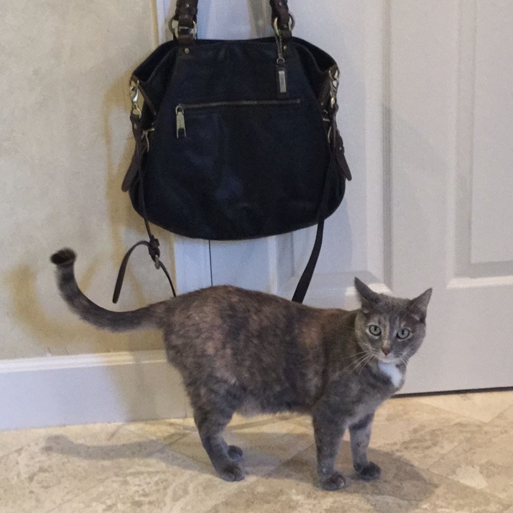 Cole Haan soft black leather bag